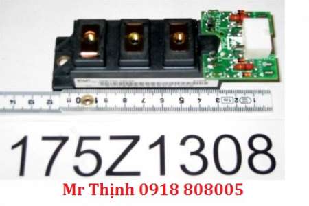 igbt-fc300-15-45kw-c-n-175z1308