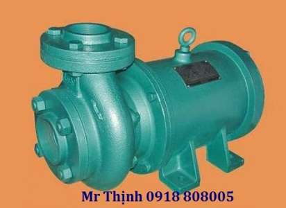 may-bom-chim-truc-ngang-lubi-lhl-153-0-75kw-1-0hp-1ph-230vac